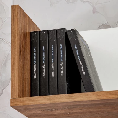 Nappali fali dekoráció elektromos kandallóval AGRIA - antracit / zászlórúd tölgy Nappali fali dekoráció elektromos kandallóval AGRIA - antracit / zászlórúd tölgy