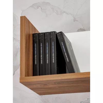 Nappali fali dekoráció elektromos kandallóval AGRIA - antracit / zászlórúd tölgy