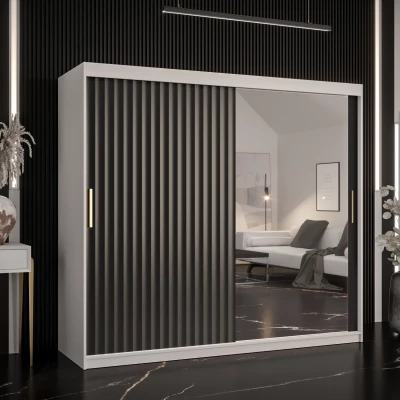 RADKIN 2 tükrös ruhásszekrény - szélesség 200 cm, fehér / fekete