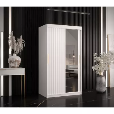 RADKIN 2 tükrös ruhásszekrény - szélesség 100 cm, fehér