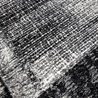 Szőnyegdarab 200x290 cm DEMIAN - szürke / fehér / fekete