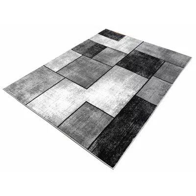 Szőnyegdarab 160x220 cm DEMIAN - szürke / fekete / fehér