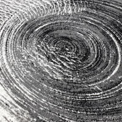 Absztrakt szőnyegdarab 200x290 cm DEMIAN - szürke / fehér
