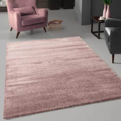 Egyszínű szőnyeg 80x150 HOLLISTER - lila