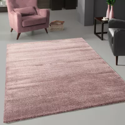 Egyszínű szőnyeg 80x150 HOLLISTER - lila
