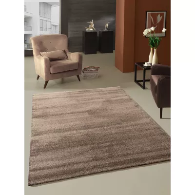 Egyszínű szőnyeg 160x230 HOLLISTER - barna