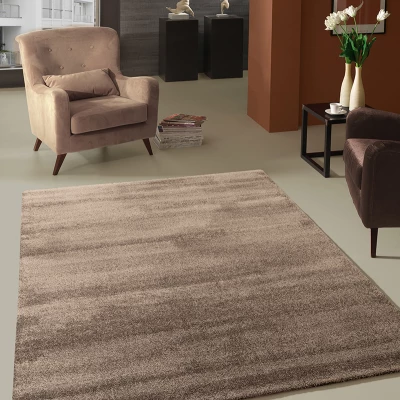 Egyszínű szőnyeg 200x290 HOLLISTER - barna