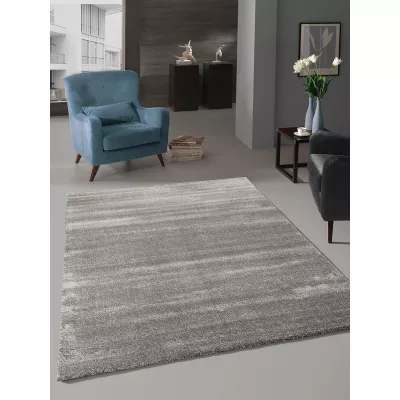 Egyszínű szőnyeg 160x230 HOLLISTER - szürke
