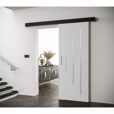 Tolóajtó ezüst fogantyúval SALOME 11 - 80 cm, fehér / fekete