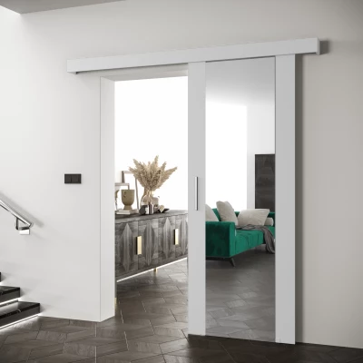 Tolóajtó ezüst fogantyúval SALOME 2 - 80 cm, fehér