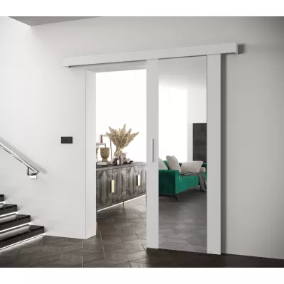 Tolóajtó ezüst fogantyúval SALOME 2 - 80 cm, fehér