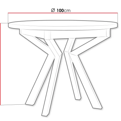 Kis kerek étkezőasztal 100 cm ALVARADO 7 - fehér / fekete