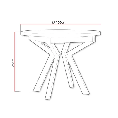 Kis kerek étkezőasztal 100 cm ALVARADO 7 - fehér / fekete