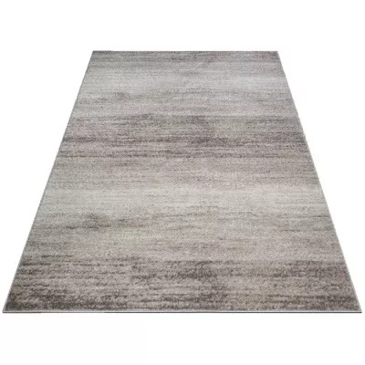 Modern szőnyeg 200x290 cm ADALBERTO - bézs