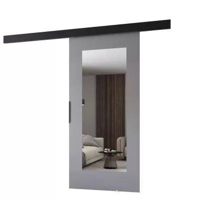 Tolóajtó tükörrel BARRET 19 - 76 cm, szürke / fekete