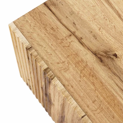 HAER 2 stílusos TV asztal - wotan tölgy / fekete