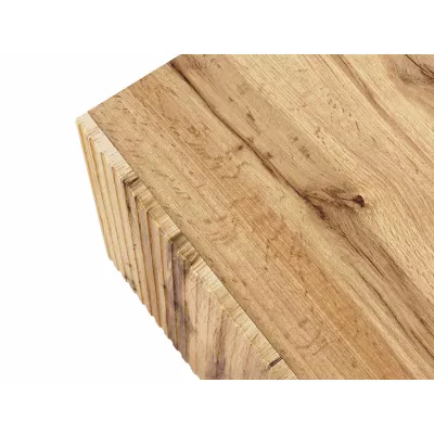 HAER 2 stílusos TV asztal - wotan tölgy / fekete