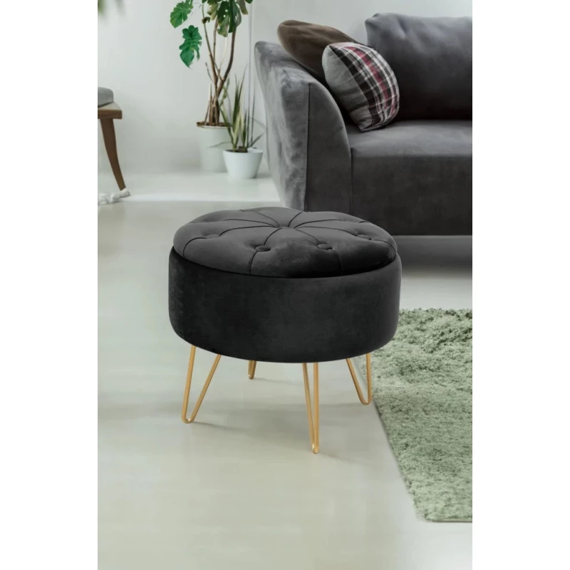 Elegáns DRAVIEN szék tárolóhellyel - fekete / arany