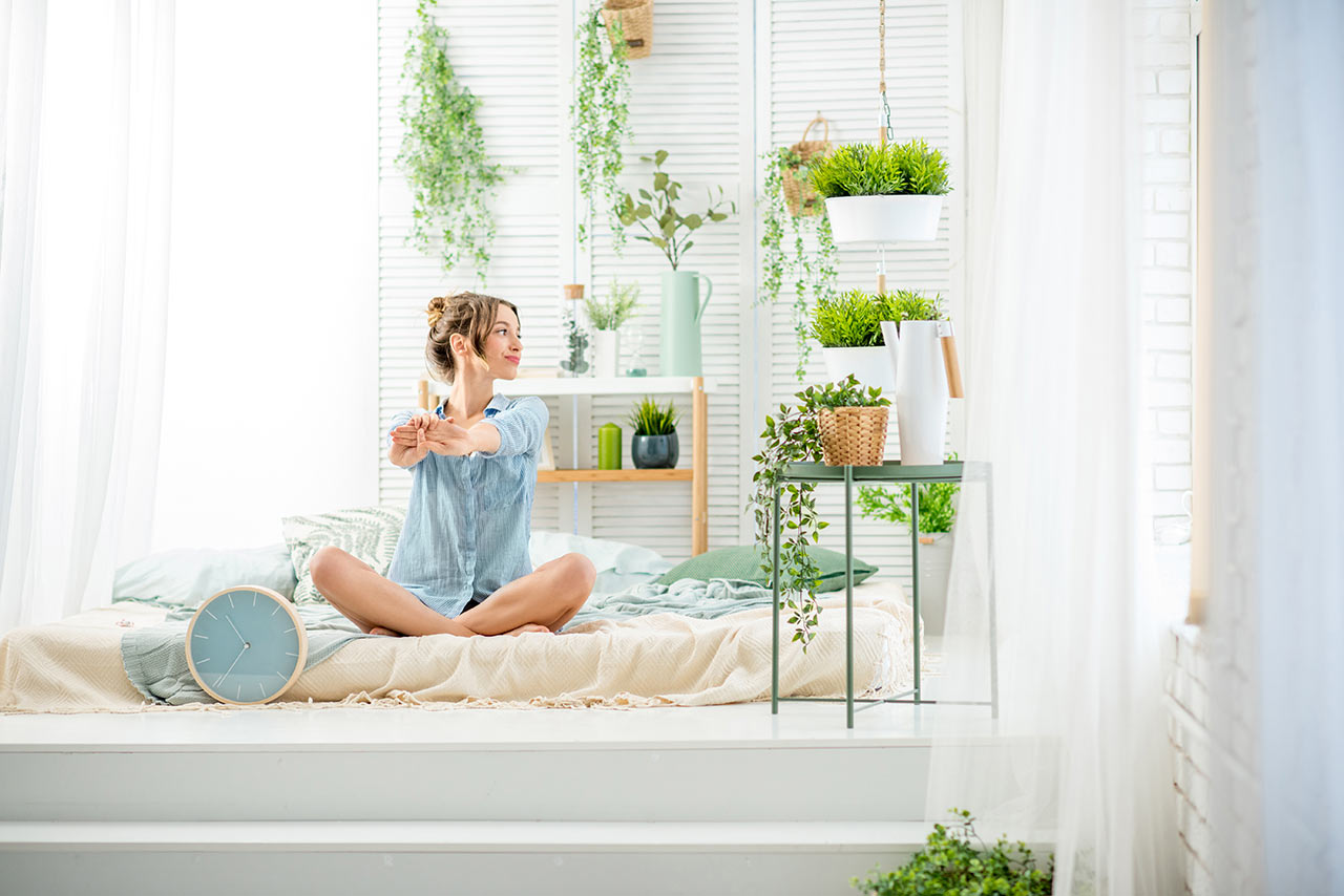 A hálószobába illő növények a feng shui tanítása szerint