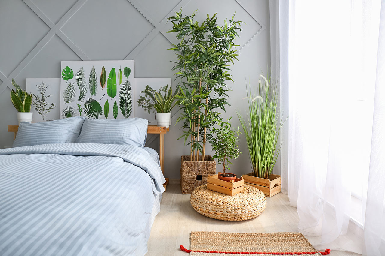 A hálószobába illő növények a feng shui tanítása szerint